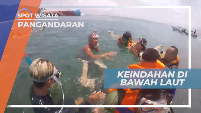 Mengintip Keindahan Surga Bawah Laut Panatai Pasir Putih, Pangandaran