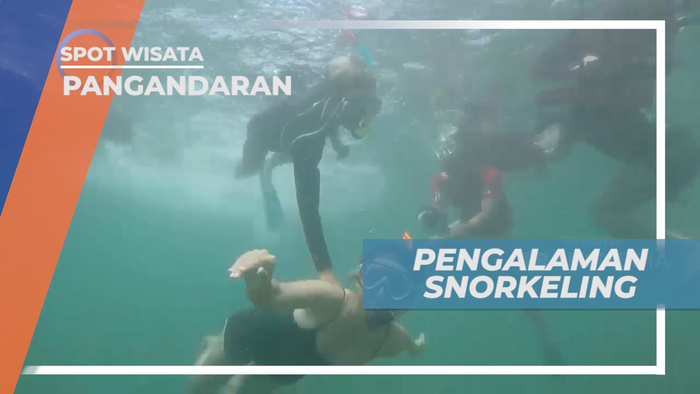 Sensasi Melihat Kehidupan Bawah Laut Pantai Pasir Putih, Pangandaran