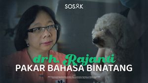 drh. Rajanti, Berkomunikasi dengan Binatang Lewat Mind Power