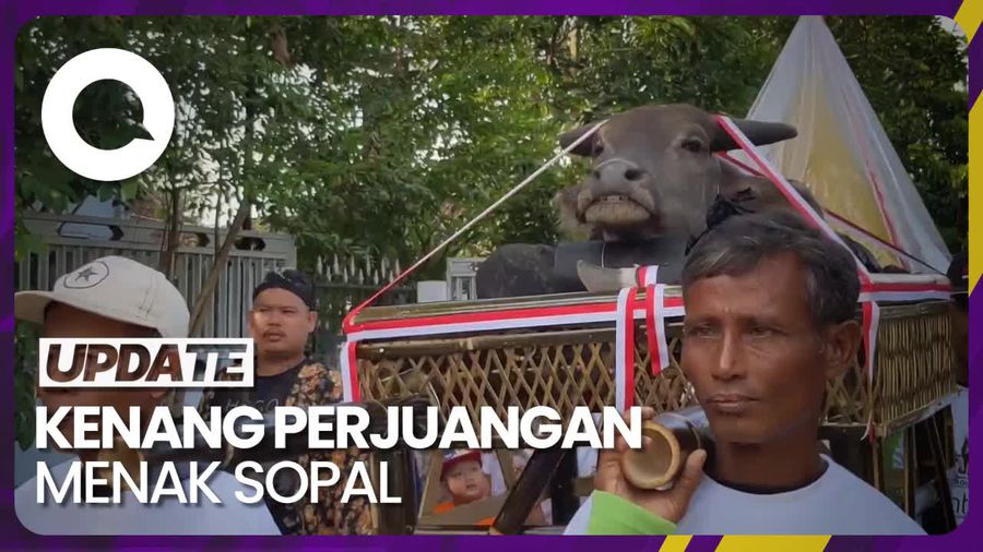 Melihat Tradisi Petani Trenggalek Larung Kepala Kerbau di Waduk Bagong
