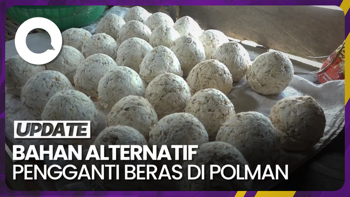 Mengenal Undo, Bahan Pangan Alternatif Pengganti Beras di Polman