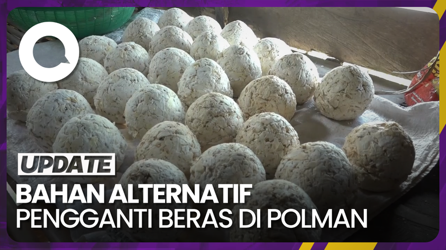 Mengenal Undo, Bahan Pangan Alternatif Pengganti Beras di Polman