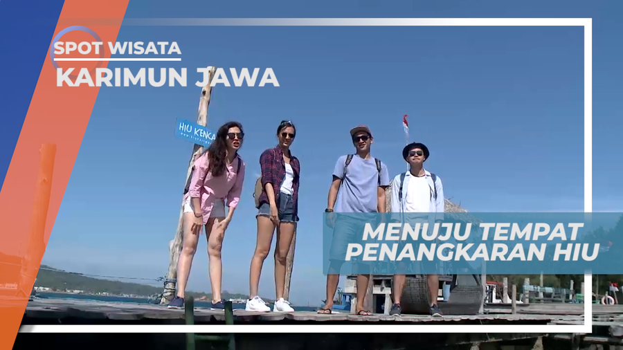 Liburan Seru, Mengunjungi Tempat Penangkaran Hiu di Pulau Karimun Jawa