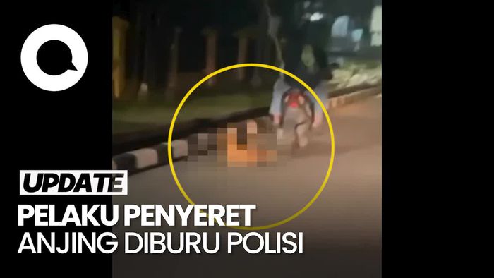 Dicari! Pemotor yang Ikat-Seret Anjing di Jambi