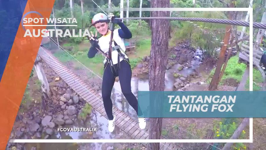 Memacu Adrenalin Bermain Flying Fox di Australia