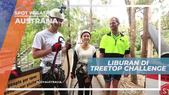 Berlibur Seru di Treetop Challange Adventure Park Australia