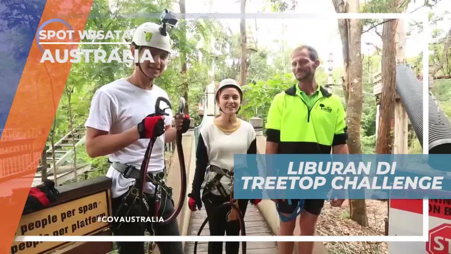 Berlibur Seru di Treetop Challange Adventure Park Australia