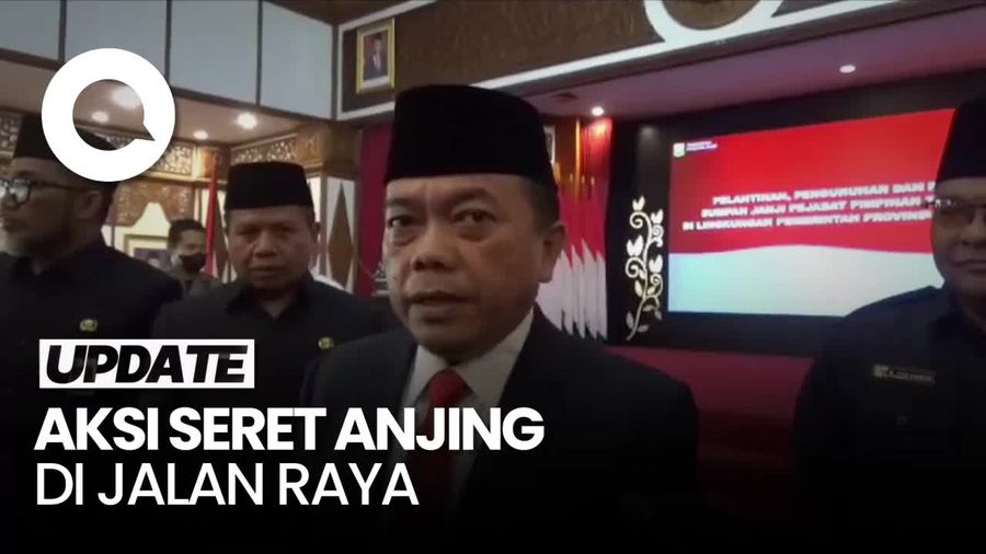 Gubernur Jambi Minta Pelaku Seret Anjing di Jalan Raya Dipidana