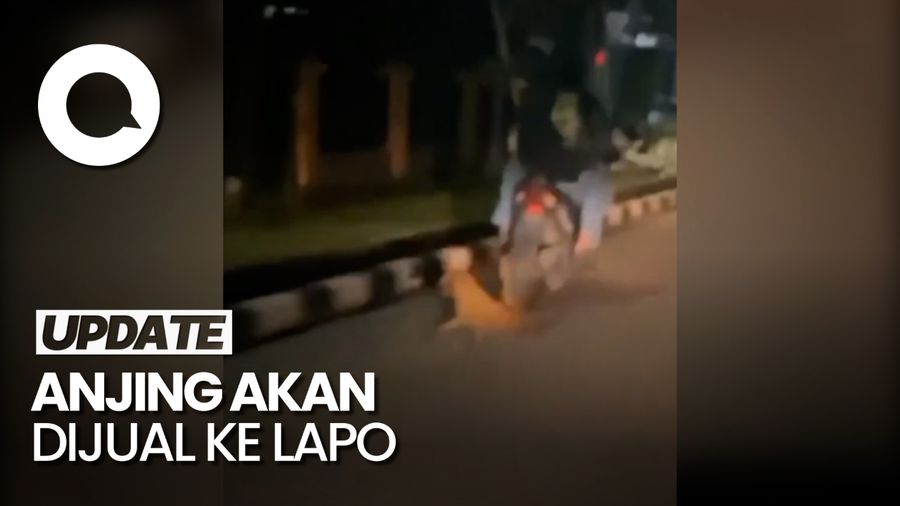 Ini Tampang Dua Pria Ikat-Seret Anjing di Jambi