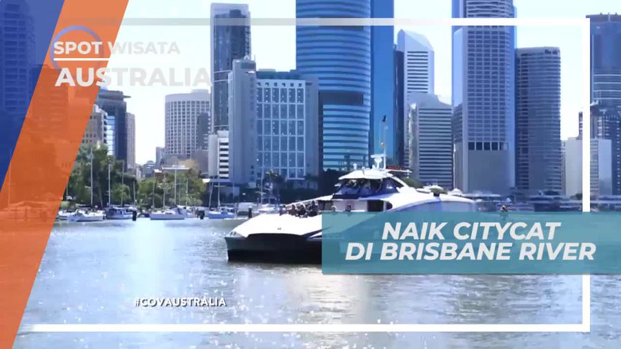 Keseruan Naik Citycat di Brisbane River Australia