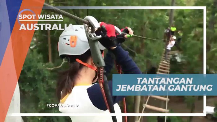 Mencoba Tantangan Seru Jembatan Gantung di Australia