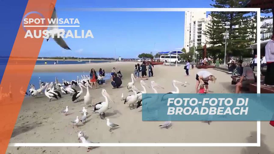 Mengabadikan Momen Dengan Berfoto di Boradbeach Australia