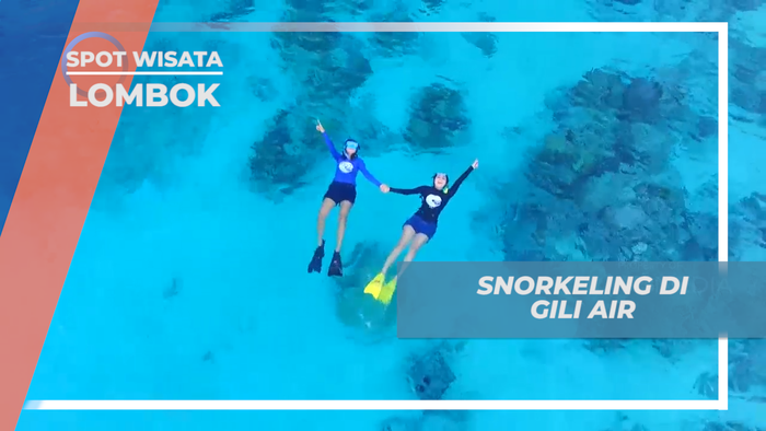 Mengintip Indahnya Kehidupan Biota Laut Pulau Gili Air, Lombok