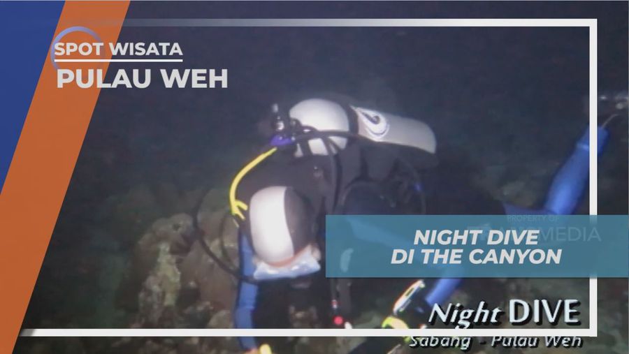 Pengalaman Seru, Merasakan Sensasi Night Dive Pertama Kali, Pulau Weh