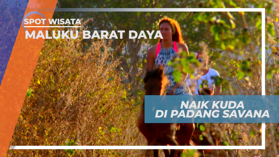 Berkeliling Menikmati Indahnya Padang Savana Dengan Naik Kuda, Maluku