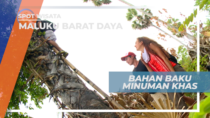 Sari Pati Pohon Lontar, Bahan Baku Utama Minuman Khas Pulau Leti, Maluku