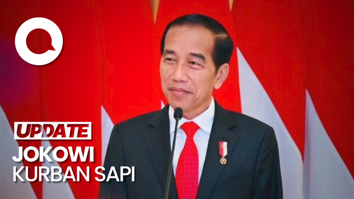 Jokowi Kurban Sapi ke 38 Provinsi di Indonesia
