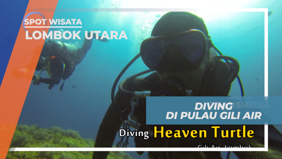 Menjelajahi Indahnya Kehidupan Bawah Laut Pulau Gili Air, Lombok Utara
