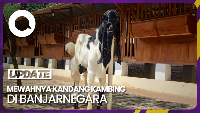 Ada Kandang Kambing Estetik di Banjarnegara