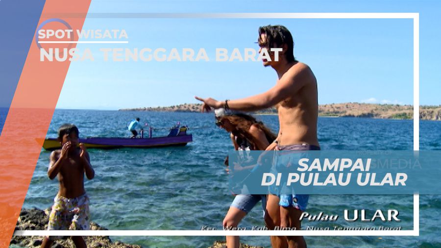 Pulau Ular, Mengunjungi Pulau yang Banyak di Huni Ular Laut, Nusa Tenggara Barat