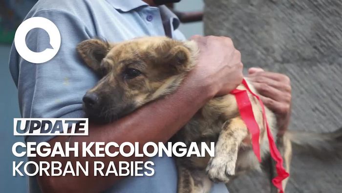 Vaksin Anjing di Klungkung Bali Ditargetkan Tuntas Agustus 2023
