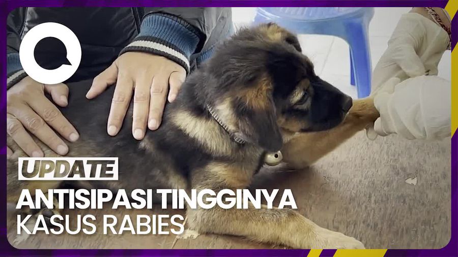 Posko Vaksin Anti Rabies untuk Anjing di Bali Dipenuhi Warga