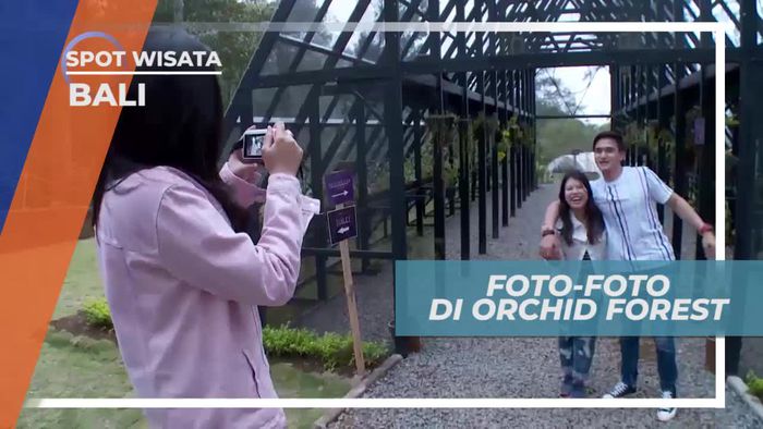 Mengabadikan Momen Dengan Berfoto di Orchid Forest Cikole Bandung