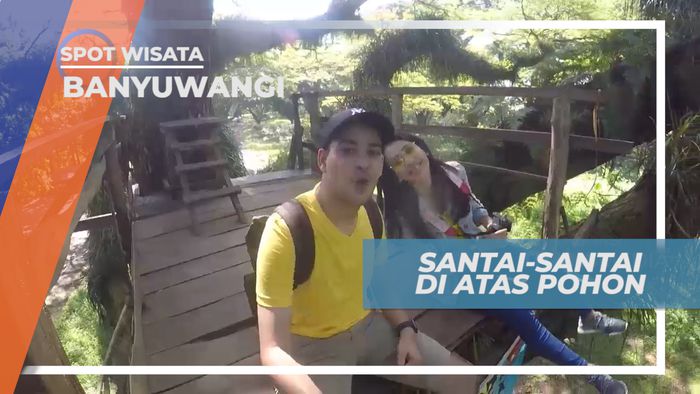 Bersantai Sejenak di Atas Pepohonan, Banyuwangi