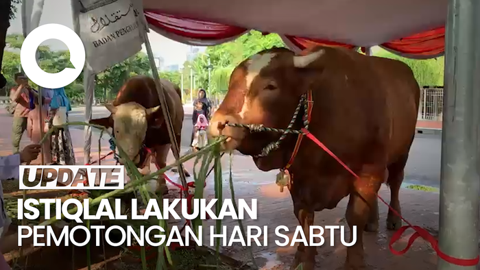Masjid Istiqlal Terima 43 Sapi & 8 Kambing, Termasuk dari Jokowi