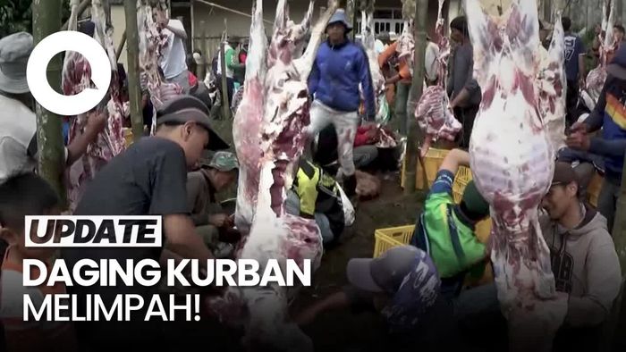 Daging Kurban di Kampung Krajan Banjarnegara Melimpah! Capai 25 Ton