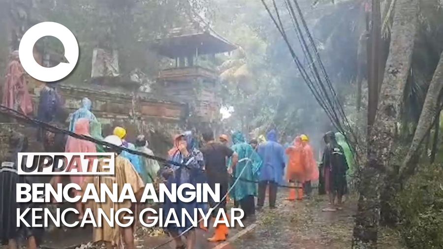 Hujan Disertai Angin di Gianyar Bali, Pohon Tumbang-Tiang Listrik Ambruk