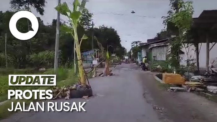 Protes Jalan Rusak, Warga Blitar Tanam Pohon Pisang