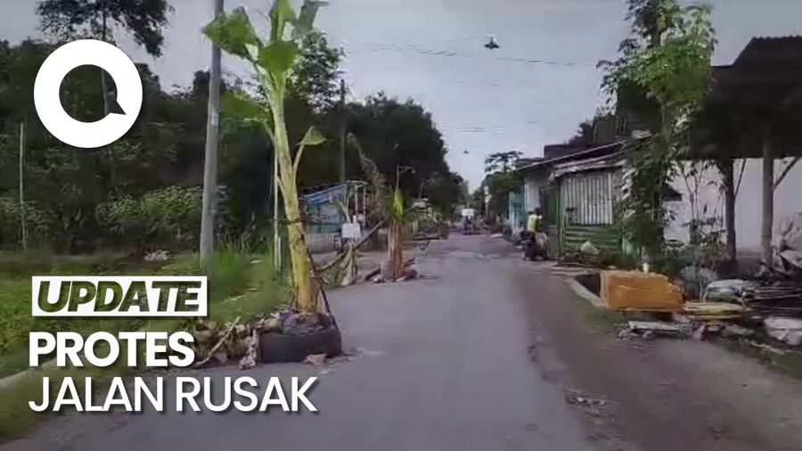 Protes Jalan Rusak, Warga Blitar Tanam Pohon Pisang
