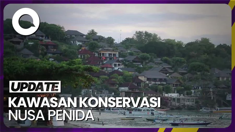 Kata Pemprov Bali Soal Biaya Snorkeling di Nusa Penida