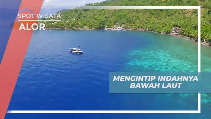 Persiapan Diving di Laut Alor