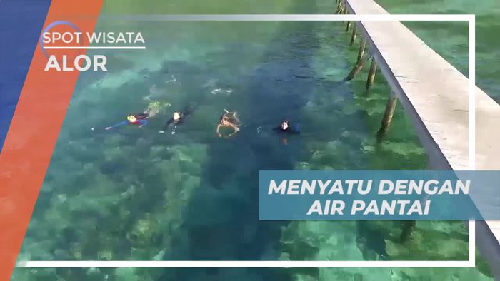 Menikmati Panorama Indah Laut Alor Dari Dermaga