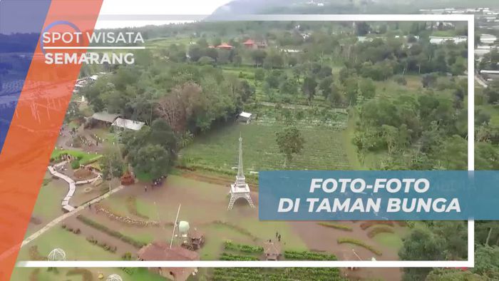 Berfoto Dengan Latar Bunga Cantik di Taman Celosia, Semarang