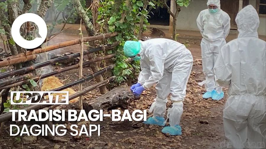 Kasus Antraks di Gunungkidul Berawal dari Tradisi Porak