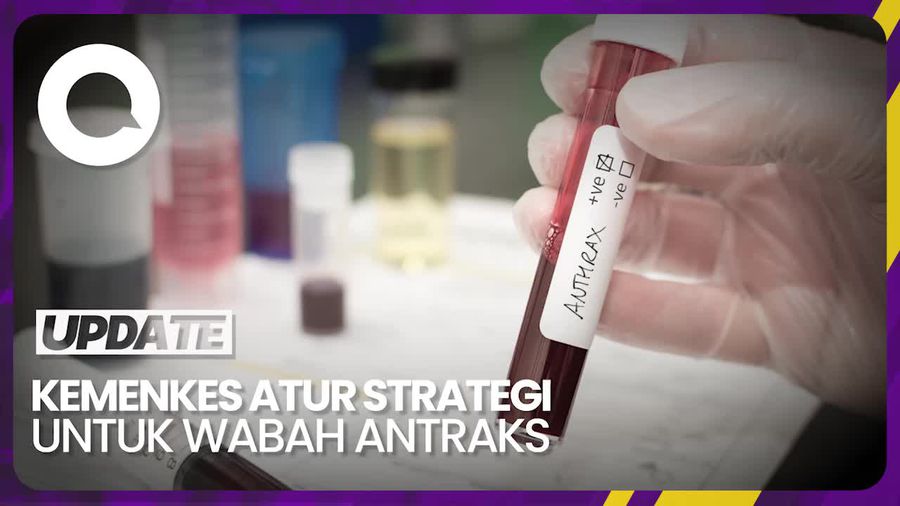 Strategi Kemenkes agar Antraks Tak Makin Menyebar di DIY