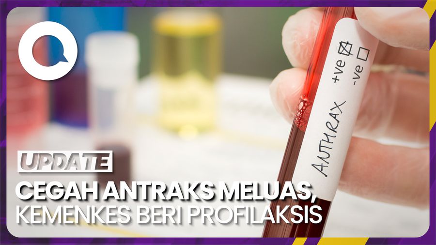 Upaya Pengobatan yang Diberikan Kemenkes untuk Cegah Antraks Meluas