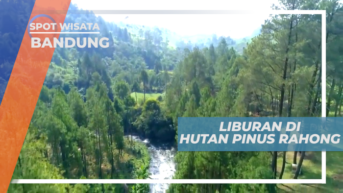 Hutan Pinus Rahong, Menikmati Kesegaran Udara yang Bebas Polusi, Bandung