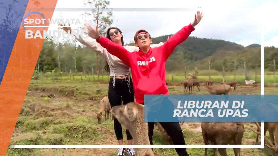 Liburan Seru, Mengunjungi Tempat Penangkaran Rusa di Ranca Upas, Bandung