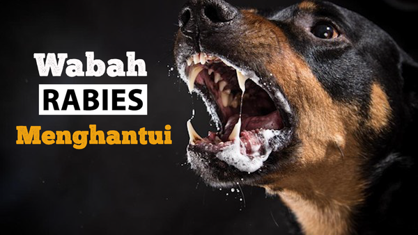 Teror Rabies Merebak Ancam Jiwa