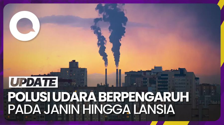 Pengaruh Polusi Udara pada Tahapan Kehidupan Manusia