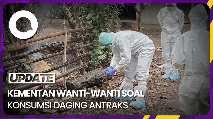 Imbauan Kementan Terkait Hewan yang Terpapar Antraks