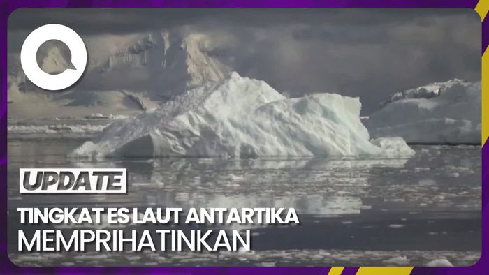 Peringatan! Tingkat Es Laut Antartika Menurun Drastis