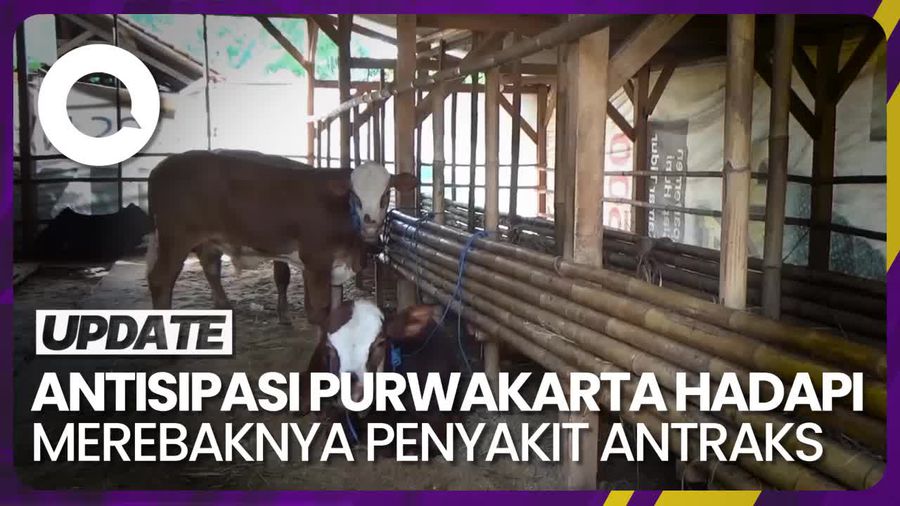 Antisipasi Antraks, 4 Pasar Hewan di Purwakarta Ditutup Sementara