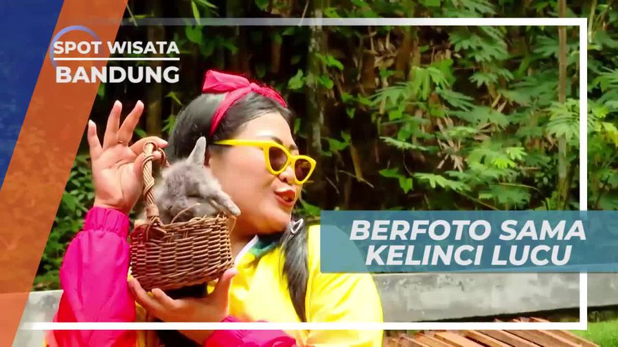 Foto-foto Seru Bersama Kelinci Lucu di Bandung