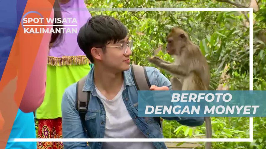 Foto-foto Seru Dengan Monyet Lucu di Pulau Kembang Kalimantan Selatan