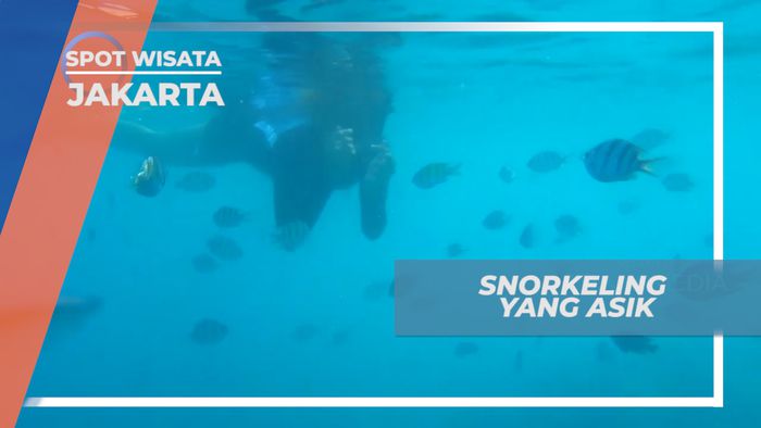 Menuju Spot Paling Indah Menikmati Bawah Laut Pulau Macan, Kepulauan Seribu